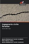 Ingegneria civile forense