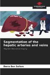 Segmentation of the hepatic arteries and veins