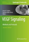 VEGF Signaling