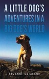 A Little Dog's Adventures in a Big Dog's World