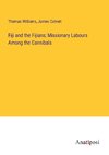 Fiji and the Fijians; Missionary Labours Among the Cannibals