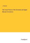 The Fossil Plants of the Devonian and Upper Silurian Formations