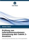 Prüfung von Informationssystemen: Umsetzung des Cobit4.1-Ansatzes