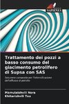 Trattamento dei pozzi a basso consumo del giacimento petrolifero di Supsa con SAS