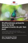 Orythocénose présente dans la forêt sempervirente du pic San Juan