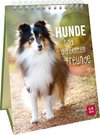 Hunde sind die besten Freunde