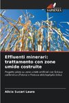 Effluenti minerari: trattamento con zone umide costruite