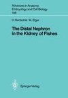 The Distal Nephron in the Kidney of Fishes