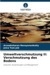 Umweltverschmutzung II: Verschmutzung des Bodens