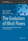 The Evolution of Illicit Flows