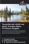 Tossicità dei nitriti nei pesci d'acqua dolce Cirrhinus mrigala