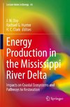 Energy Production in the Mississippi River Delta