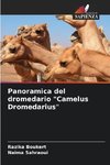 Panoramica del dromedario 