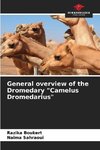 General overview of the Dromedary 