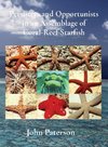 Persisters and Opportunists in an Assemblage of Coral-Reef Starfish