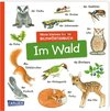 Mein kleines buntes Bildwörterbuch: Im Wald