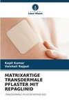 MATRIXARTIGE TRANSDERMALE PFLASTER MIT REPAGLINID