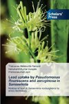 Lead uptake by Pseudomonas flourescens and aeruginosa in Sansevieria