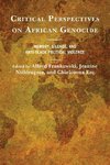 Critical Perspectives on African Genocide