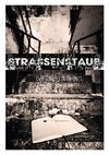 Strassenstaub: Biografie - Daniel Gebhart - Roman