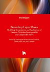 Boundary Layer Flows