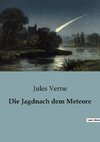 Die Jagdnach dem Meteore