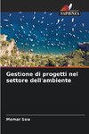 Gestione di progetti nel settore dell'ambiente