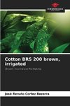 Cotton BRS 200 brown, irrigated