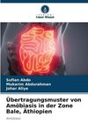 Übertragungsmuster von Amöbiasis in der Zone Bale, Äthiopien