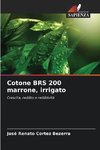 Cotone BRS 200 marrone, irrigato