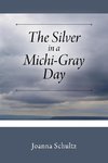 The Silver in a Michi-Gray Day