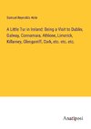 A Little Tur in Ireland: Being a Visit to Dublin, Galway, Connamara, Athlone, Limerick, Killarney, Glengarriff, Cork, etc. etc. etc.