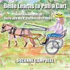 Belle Learns to Pull a Cart