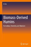 Biomass-Derived Humins