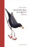 Amsel hebt eben zu singen an