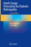 Small-Gauge Vitrectomy for Diabetic Retinopathy