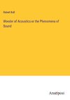 Wonder of Acoustics or the Phenomena of Sound