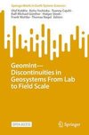 GeomInt¿Discontinuities in Geosystems From Lab to Field Scale