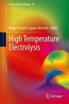 High Temperature Electrolysis