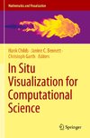 In Situ Visualization for Computational Science