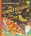 Das Wunder eines Schmetterlings - Wie sich die Natur verwandelt