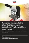 Réponse immunitaire chez les larves du scarabée Phyllognathus excavatus