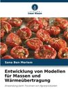 Entwicklung von Modellen für Massen und Wärmeübertragung