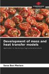 Development of mass and heat transfer models