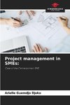 Project management in SMEs: