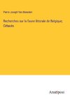 Recherches sur la faune littorale de Belgique; Cétacés