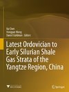 Latest Ordovician to Early Silurian Shale Gas Strata of the Yangtze Region, China