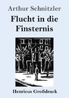 Flucht in die Finsternis (Großdruck)