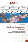 Les Trois Cerveaux des Poissons