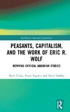 Peasants, Capitalism, and the Work of Eric R. Wolf